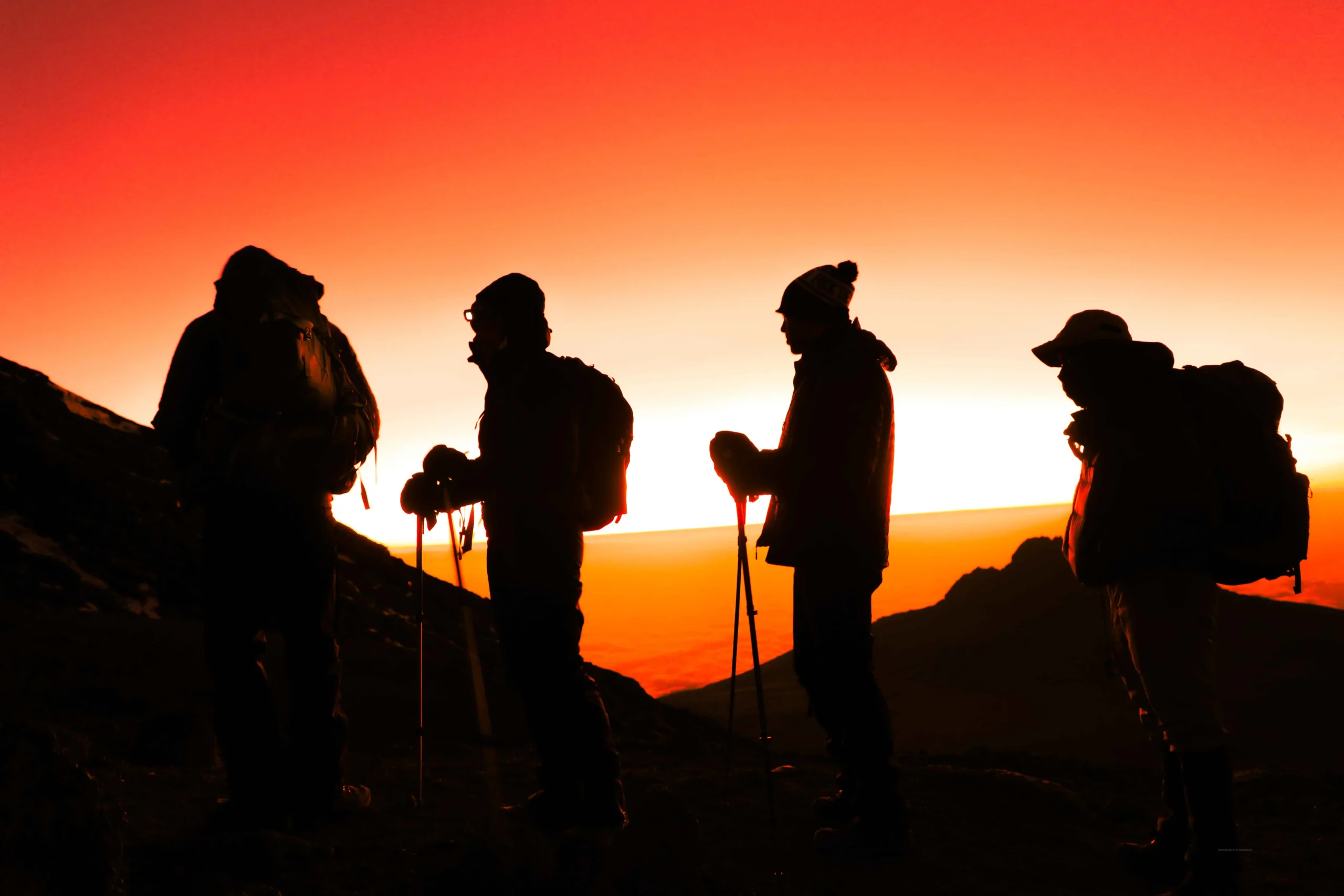 Trekking group on the Lemosho Route, Mount Kilimanjaro