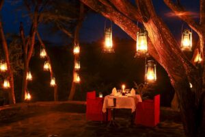 lodge safari
