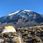 Best Time to Climb Kilimanjaro: Month-by-Month Guide