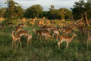 best time to visit Tanzania