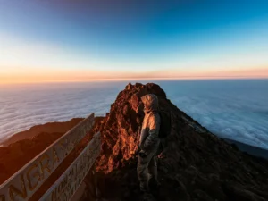 best time to climb kilimanjaro
