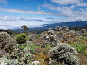 Best time to climb kilimanjaro